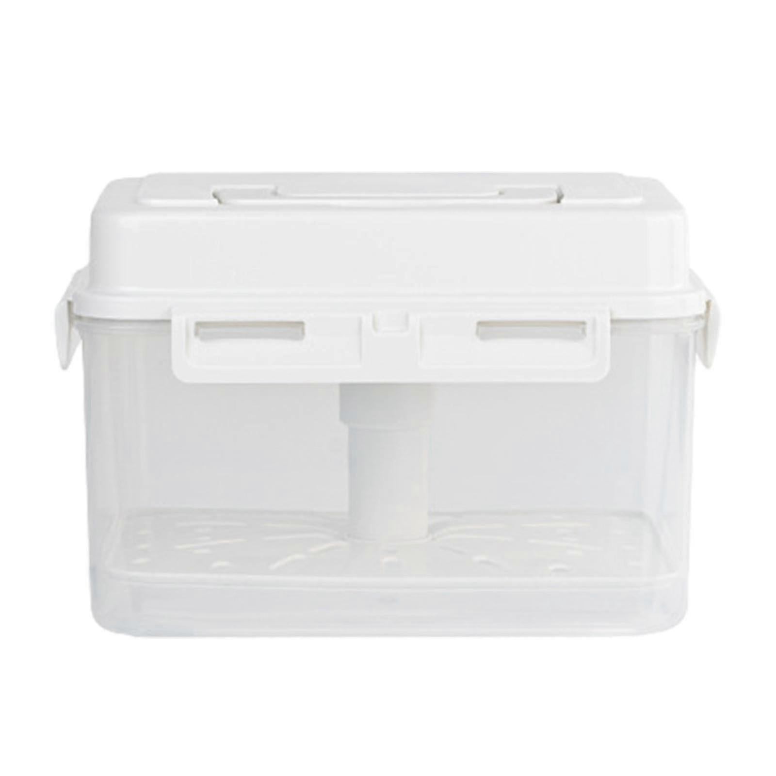 Kimchi Fermentation Container with Press Plate, Food Storage & Fridge Organizer, Refrigerator Safe Preserving Box