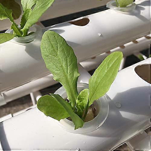 Hydroponic Cultivation System 54 Planting Sites 1 Layer Soilless PVC-U Hydroponic Growing System with Water Pump and Automatic Irrigation
