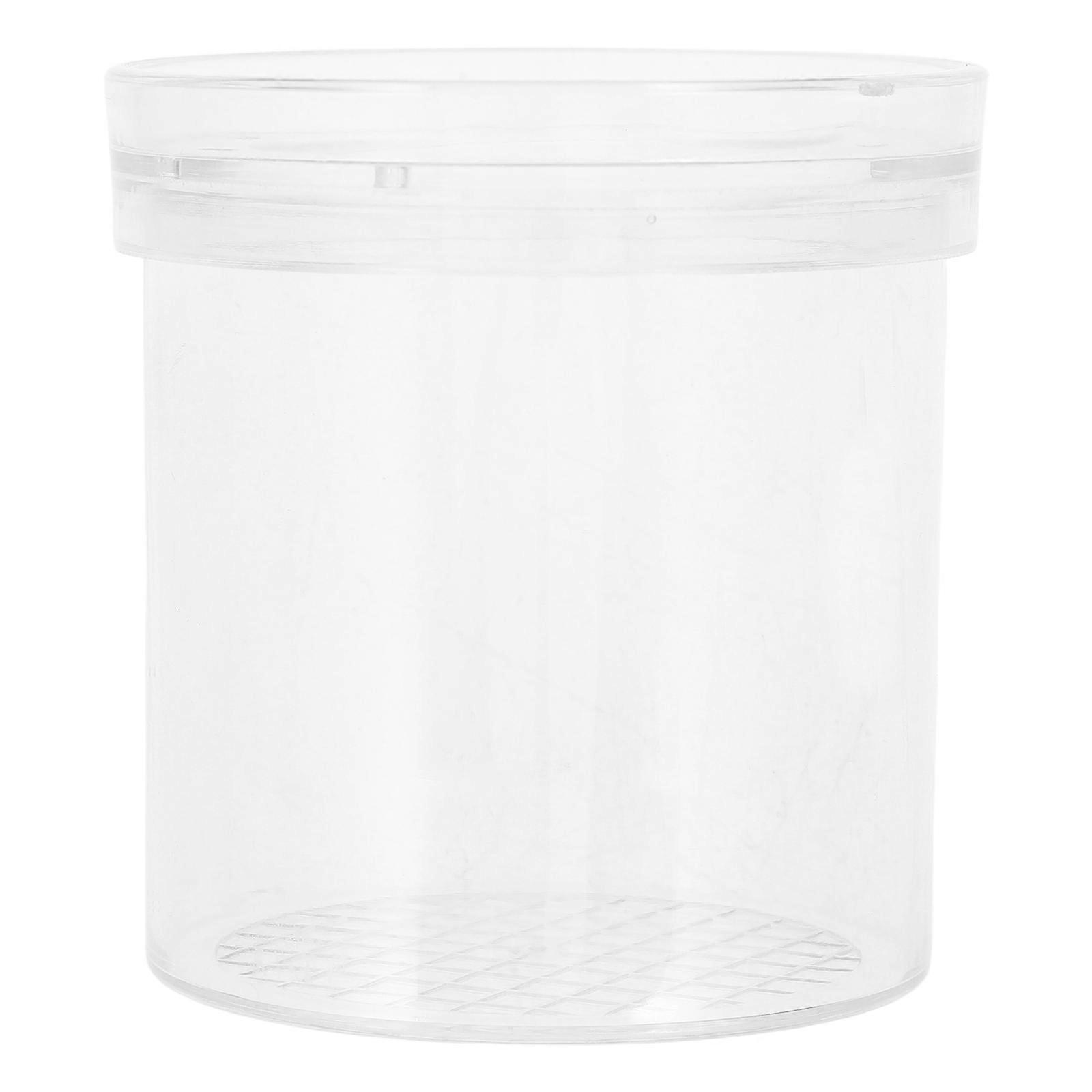 Insect Observation Box Bug Viewer Children Outdoor Exploration Transparent Plastic 3x Magnifying Lens 1Pack
