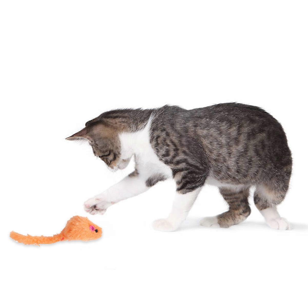 Pet Toys Mice Avoid Scratching Furniture Assorted Color 5Pcs