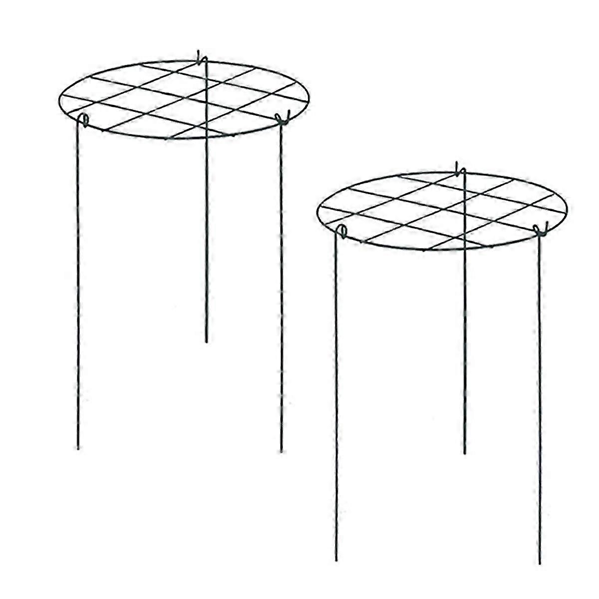 Peony Stand with Support Cage for Roses Tomatoes Orchids