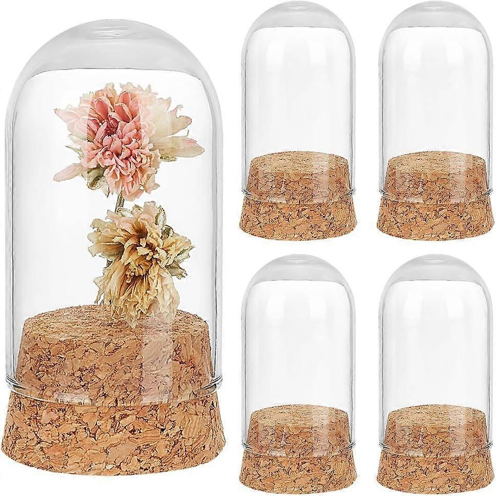 4pcs Mini Glass Jars Small Glass Display Dome Cloche with Cork Small Glass Bottles Dome Decorative Jars Cloche Display Case for Christmas Plants Flowe