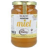 Rosemary honey 500 g