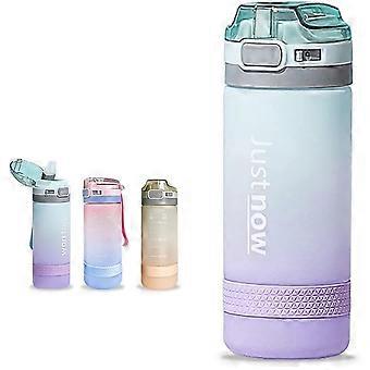 Fitness Sports Water Bottle Leak-Proof, BPA-Free,  Cycling, Gym (500 ml, Blue)