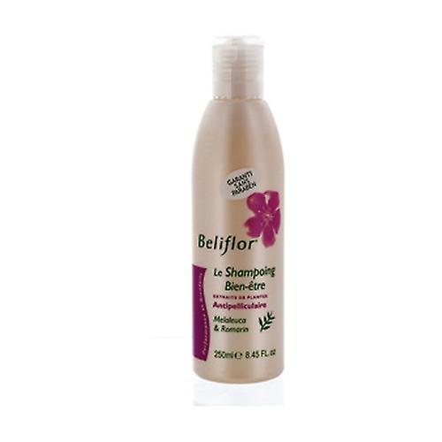 Anti-dandruff well-being shampoo 250 ml