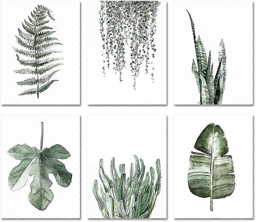 植物版画海报，6 件套，8x10 版画无框，客厅植物叶装饰艺术，植物画
