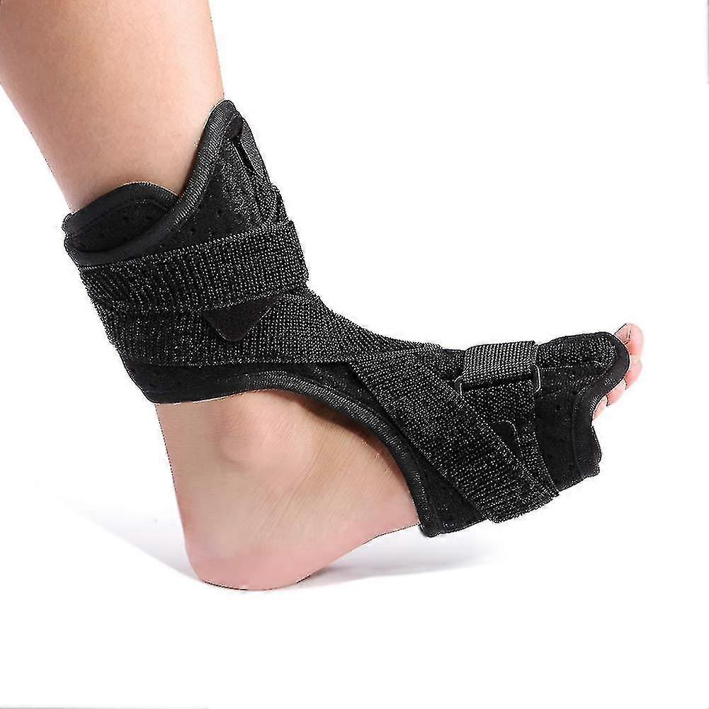 Adjustable Compressed Phytase Back-day-night Rail Foot-falling Support And Back