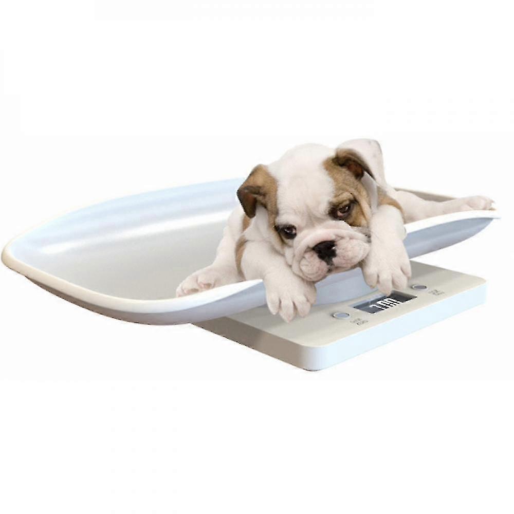 小型猫と犬の体重を量る小動物用15kg電子スケール