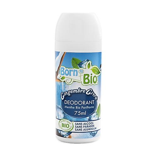 Organic frosted ginger ball deodorant 75 ml