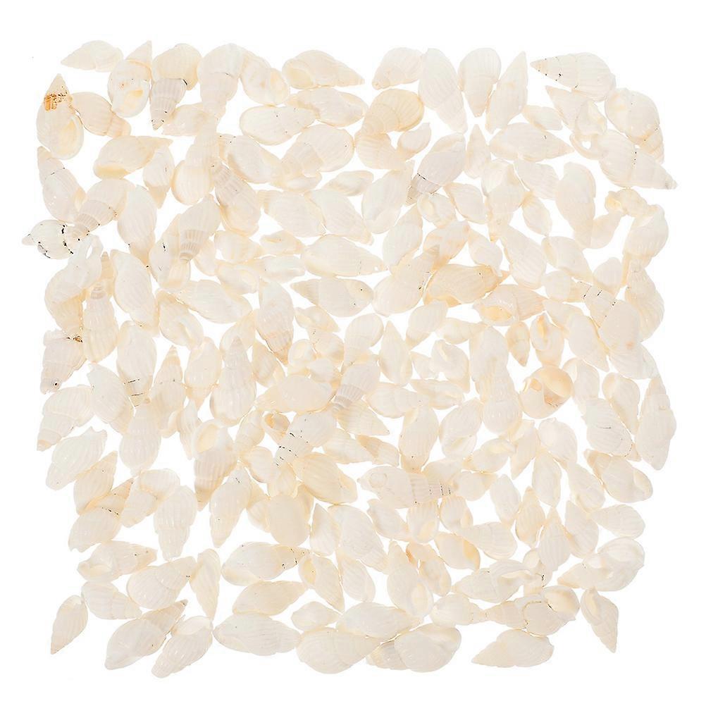Natural Conch Shells Decor Pack – 400pcs Small Seashells for Aquariums, Crafting, Terrariums & Sea Themed Dioramas