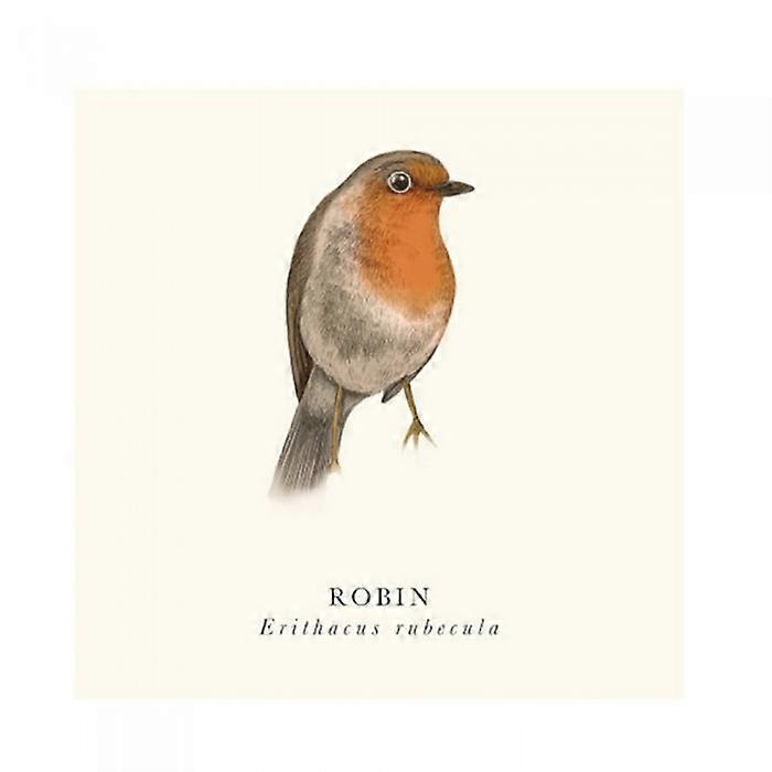 Tall Boy Prints Robin Print