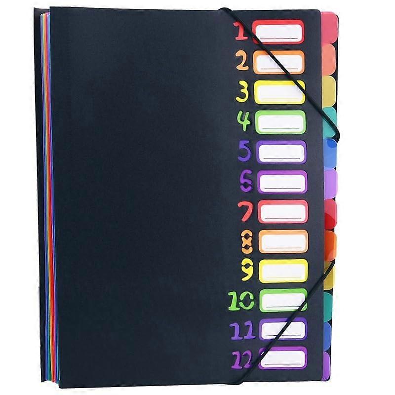 File Folder Extended Folder, 12 Pocket Letters A4 Paper Item Sorter, Plastic File Storage Bag, Iridescent (Colour: D)