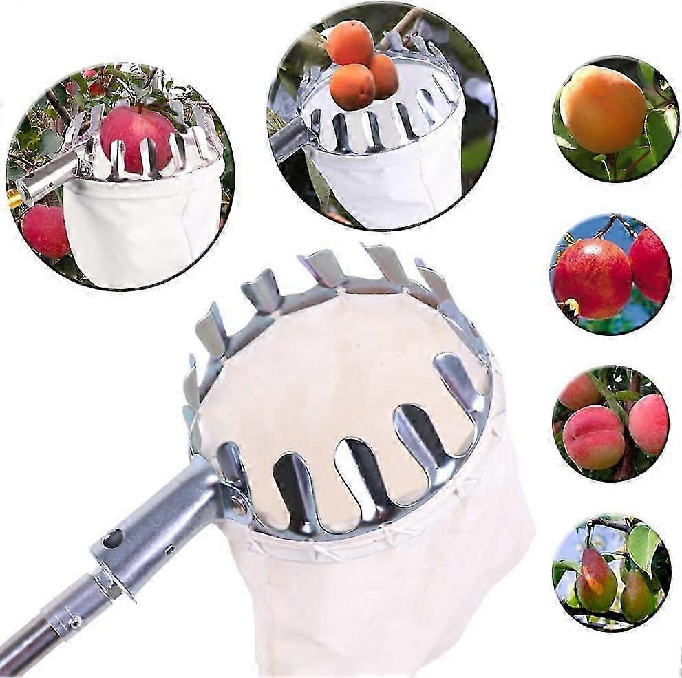 Fruit Picking Tool Set of 2 Pieces with 14 cm Handle for Harvesting Apples and Berries
