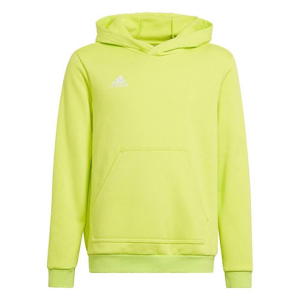 Adidas Entrada 22 HC5069 universal all year boy