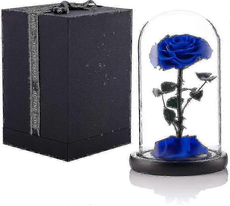 المحفوظة روز الحقيقي الأبدية روز في قبة زجاجية هدية لعيد الشكر لها عيد الحب عيد الحب عيد ميلاد عيد الأم (الأحمر) bebetter