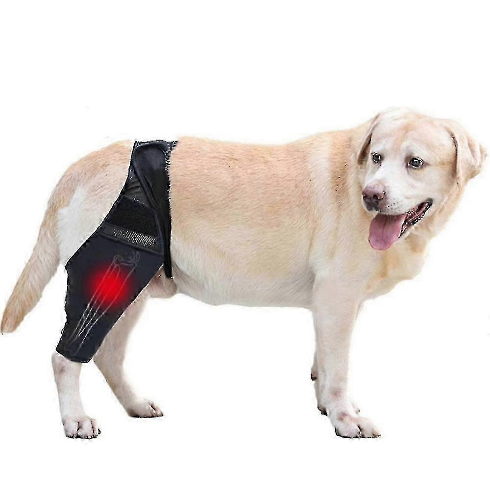 Επιγονατίδα & Ποδιού για Σκύλους: Υποστήριξη Ισχίου & Ανάρρωση από Τραυματισμό Χιαστού Συνδέσμου, CCL, Εξάρθρωση Επιγονατίδας, Ανακούφιση από ΟΑ