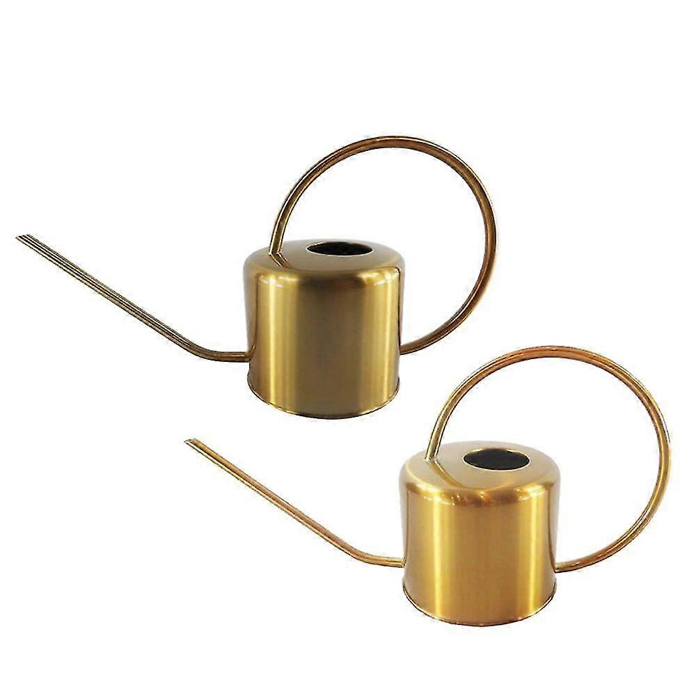 Stainless Steel Watering Can