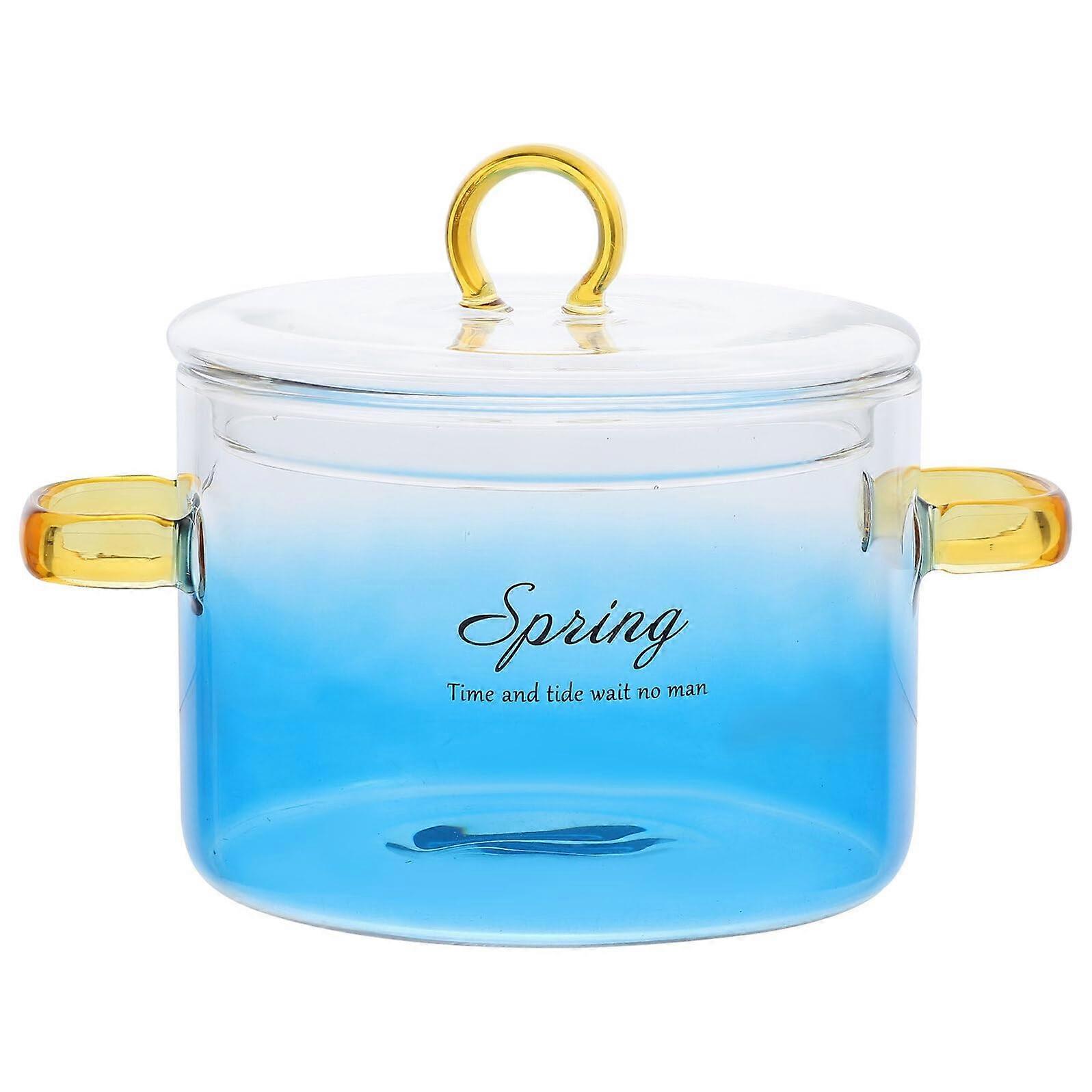 Glass Cooking Pot with Lid Double Handle Heat Resistant for Stovetop Soup