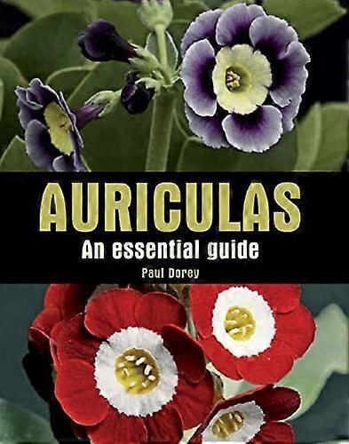 Auriculas: An Essential Guide