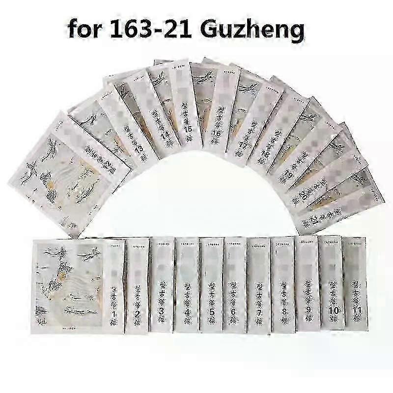 Nylon-Wrapped Guzheng Strings 21pc Set