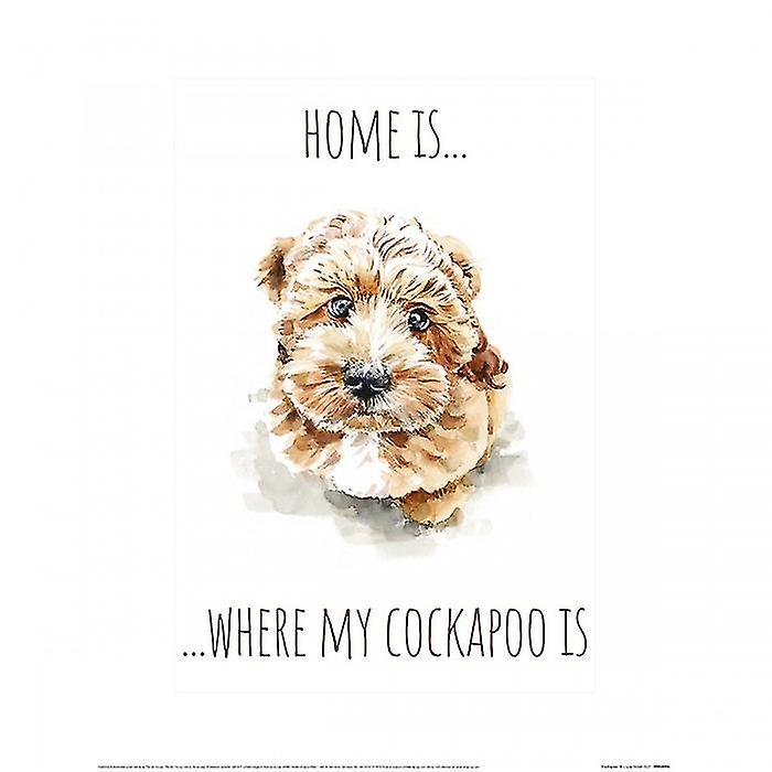 Louise Nisbet Cockapoo Print
