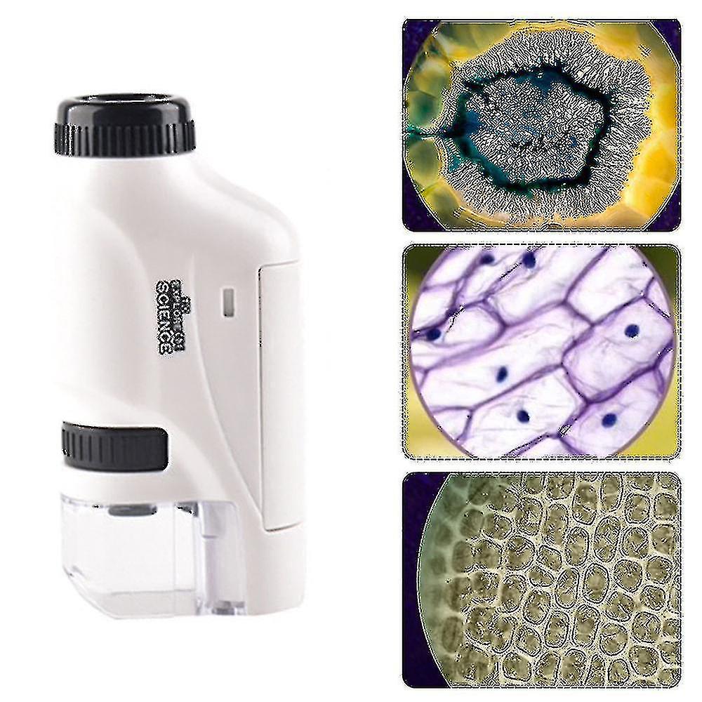 Handheld Microscope 60-120x Pocket Microscope Led Light Portable Microscope