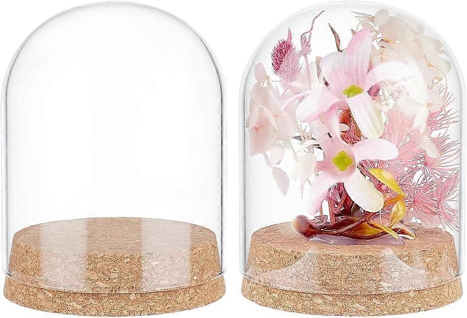 2Pcs Glass Display Dome Cloche 4.2x3.2 Inch Bell Glass Jars with Cork Base Glass Dome Display Case for Flower Specimens Home Decor DIY Inner Diameter: