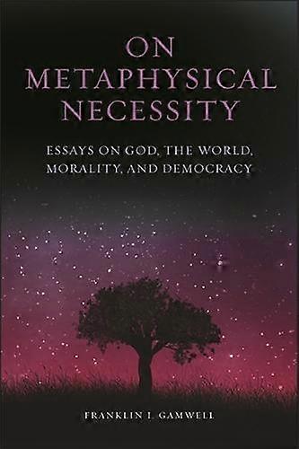 On Metaphysical Necessity by Franklin I. Gamwell Paperback Book