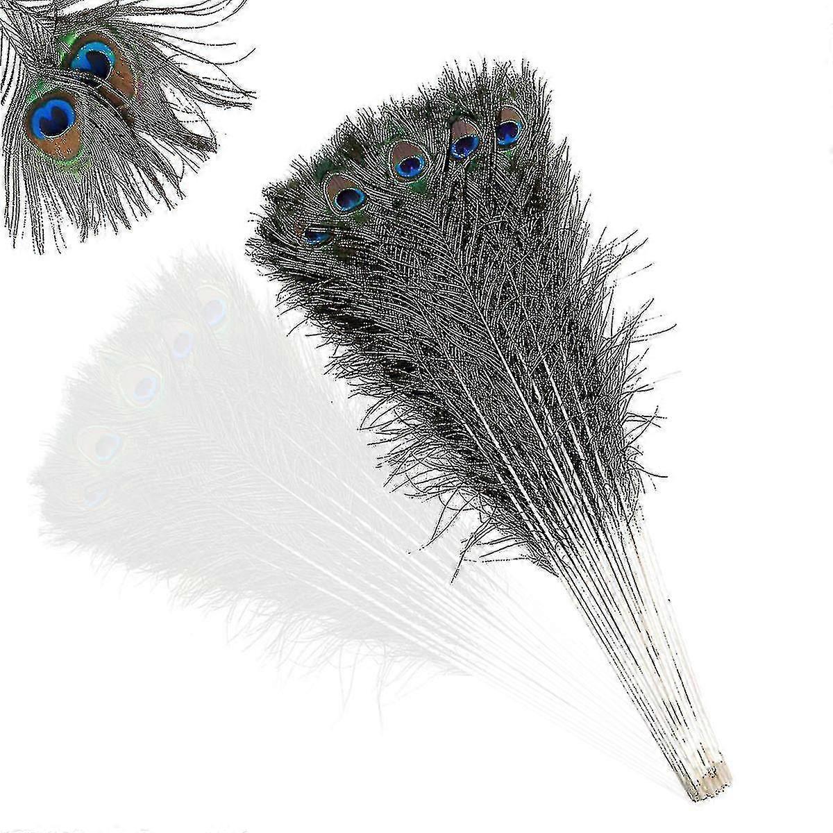 Natural Large Peacock Feathers For Decoration