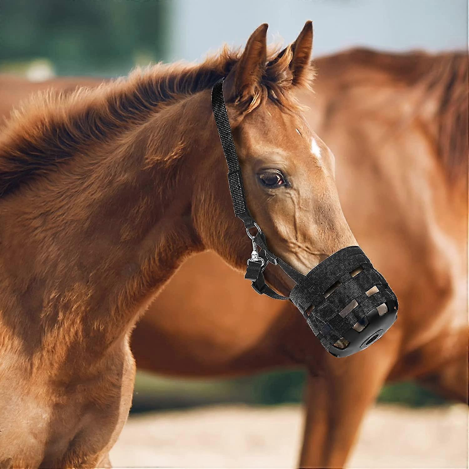 Horse Grazing Muzzle With Halter - Adjustable Comfort Lined Anti-Bite Mask For Pasture Safety