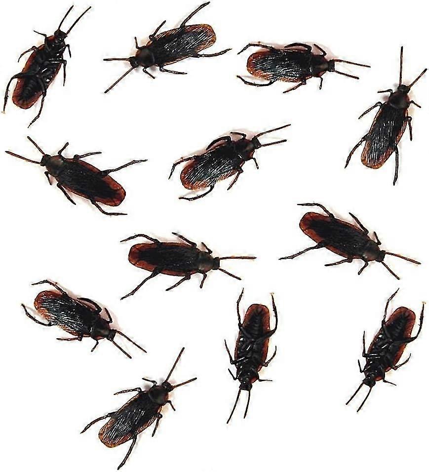 12- مزحة الصراصير المزيفة - تبدو حشرات الصراصير سوداء حقيقية