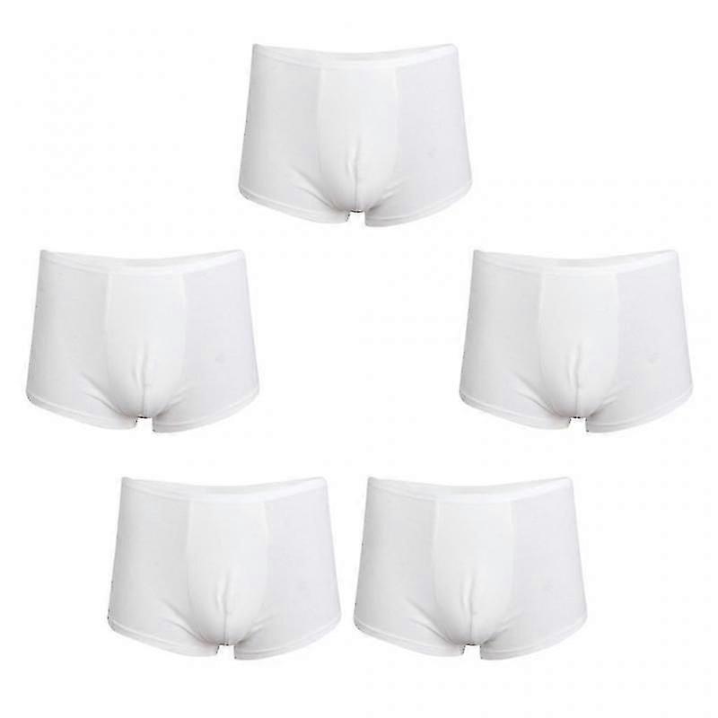5pack Men's White Regular Absorbency Washable Incontinence Boxer Briefs L