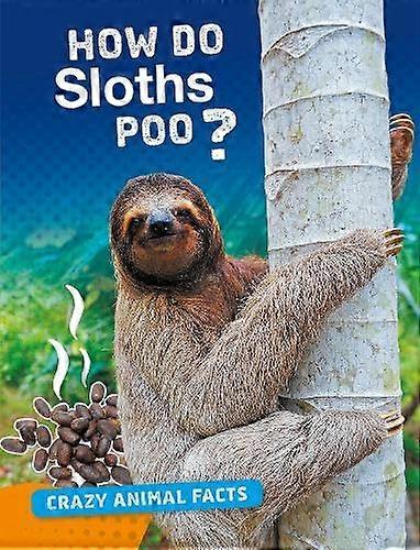 Nasıl Tembelpo poo mu?