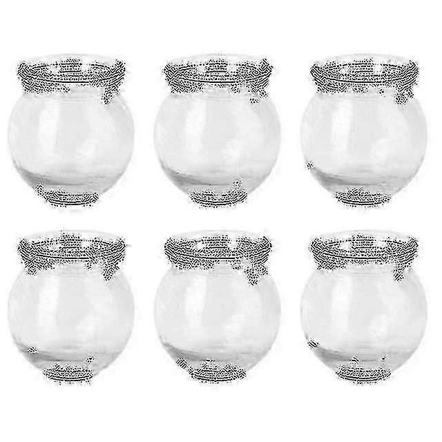 6pcs中国のカッピングガラスカッピングセラピーセットカッピングセラピーデバイスカッピングカップマッサージファイヤーグラスカッピングヘラスケア