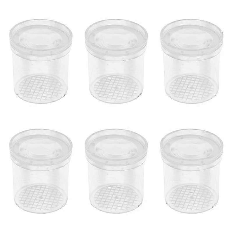 6Pcs Transparent Insect Observation Cup Magnifying Bug Viewer for Outdoor Use