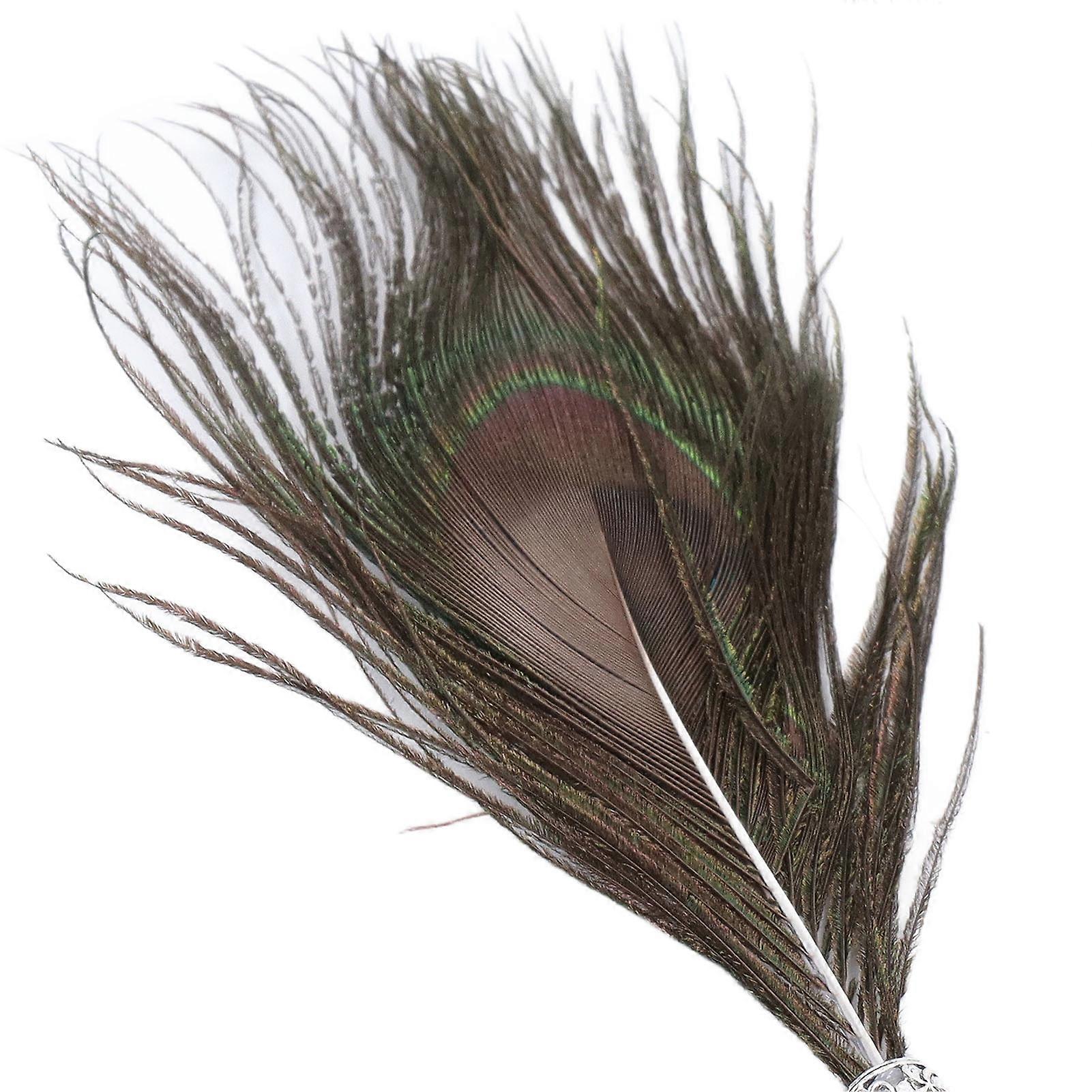 Quill Pen Set Double Peacock Feather Design Retro Style Metal Nib Calligraphy Pen with Empty Ink Bottle