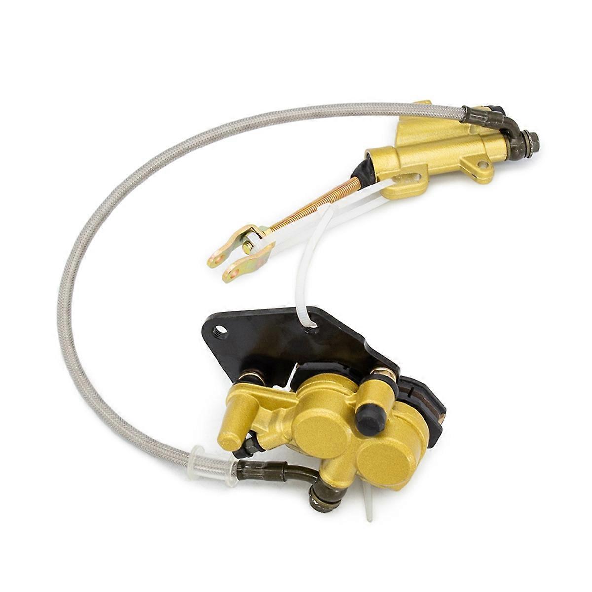 Motorcycle Rear Disc Brake Assembly