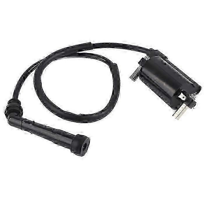 1986-2004 Suzuki Savage 650 LS650P Ignition Coil System with Accessory