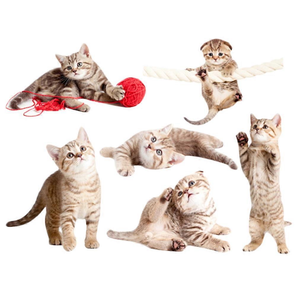 Static Cling Anti-Collision Window Cling for Bird Strike Protection 1Set