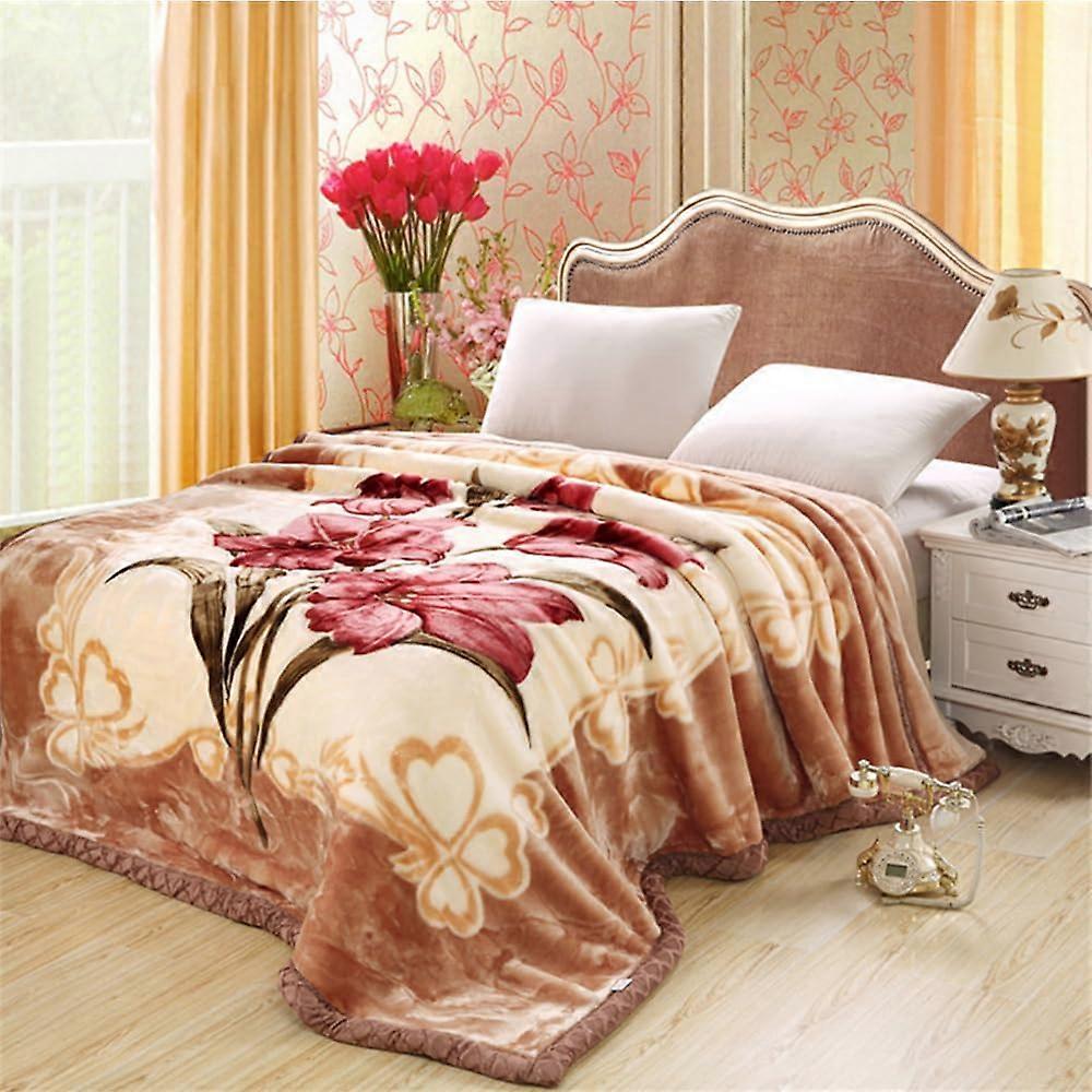 Queen Size Korean Mink Blanket Heavy 2Ply Reversible Plush Fleece Soft Warm Throw 80x90in 9lb