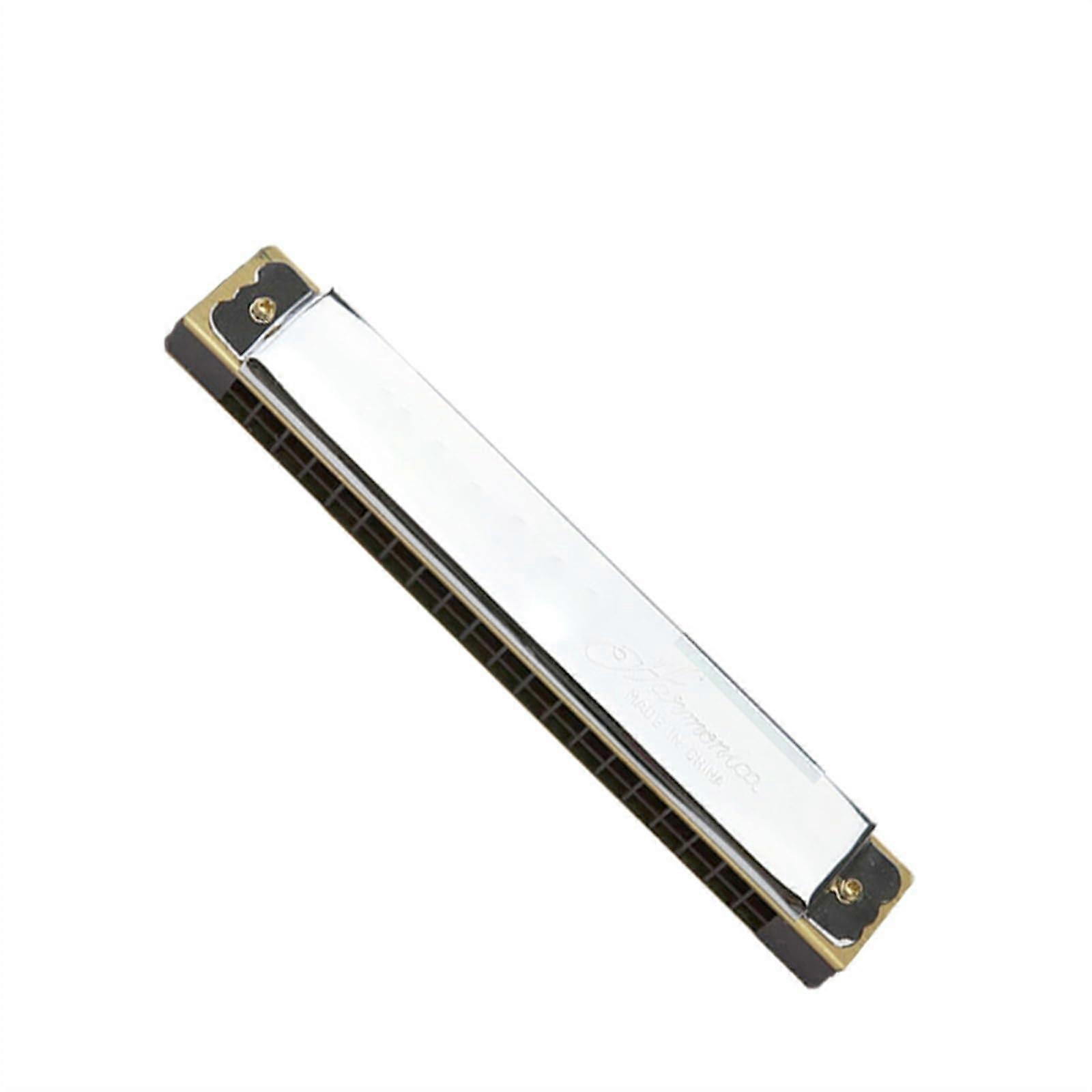 20 Hole Polyphonic Harmonica Set for Beginners, Compact Pocket Size with Durable Metal Cover