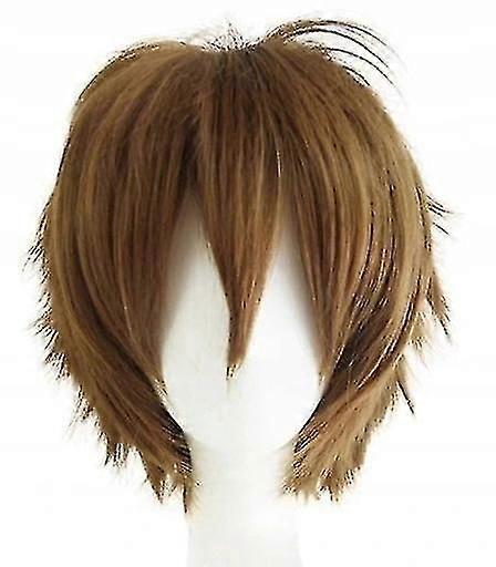 Men's Short Iece Wig