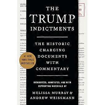 Trump-tiltalen: De historiske anklagedokumentene med kommentarer