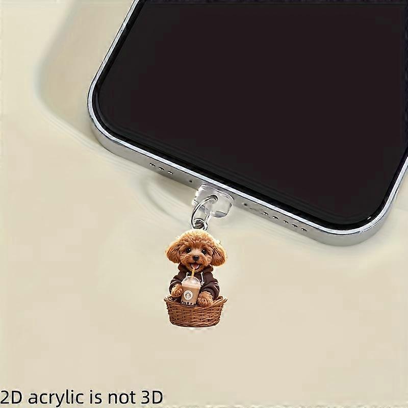 Acrylic Phone Dust Plug, 2D Plane, Type-C & Android Compatible