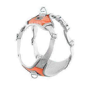 Harnais pour chien de compagnie Gilet Doublure douce Réglable Réfléchissant Petits chiens moyens Harnais Collier Respirant Marche Formation Produits pour animaux de compagnie