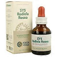 SYS Rhodiola Rosea 50 ml