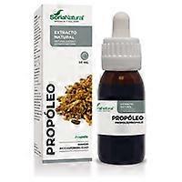 Propolis Extract Formula XXI 50 ml