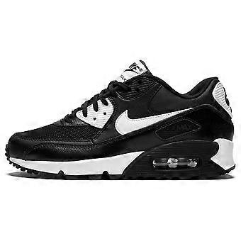 Nike Air Max 90 Essential Metallic Silver Women's 616730-023