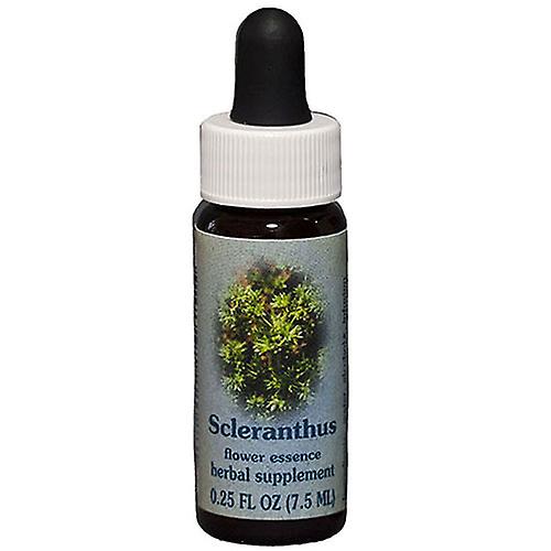 Flower Essence Services Scleranthus Dropper, 0,25 oz (2er-Packung)