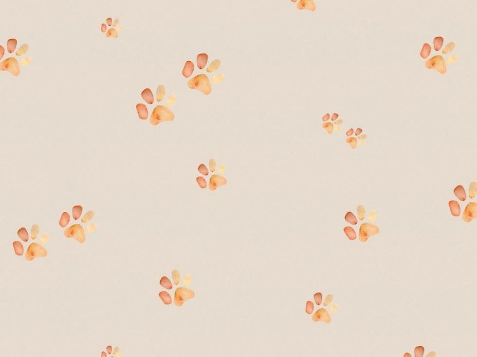 Minerva Cotton Jersey Stretch Knit Fabric Beige - per metre